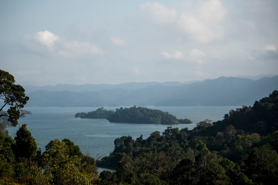 nghe san ong truyen thong o malaysia