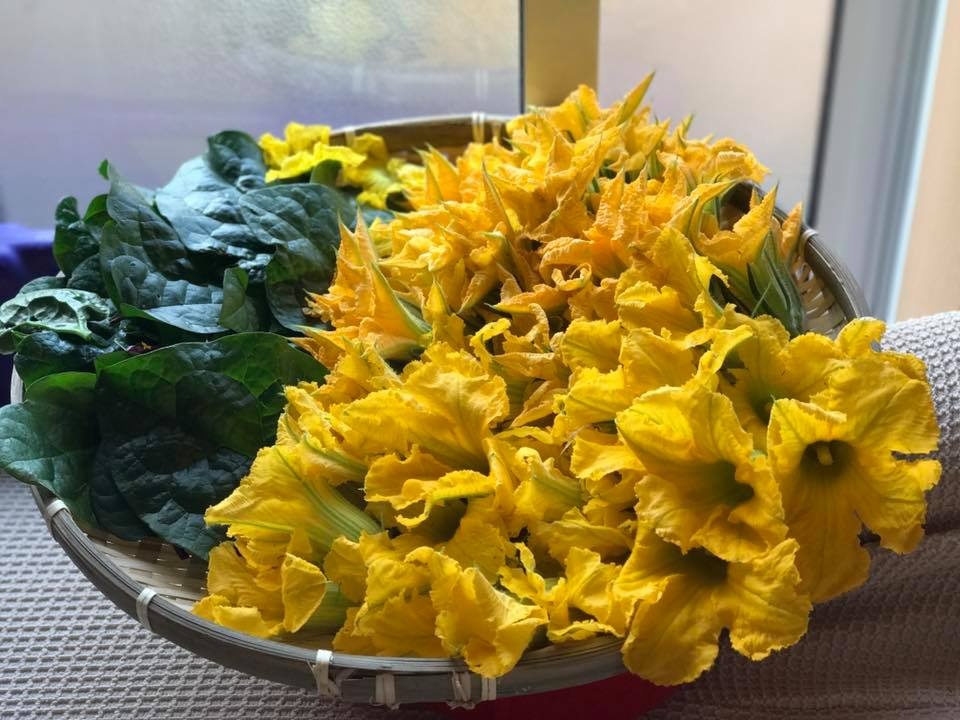 me viet o nhat cai tao khu dat hoang thanh vuon rau qua xanh muot mat