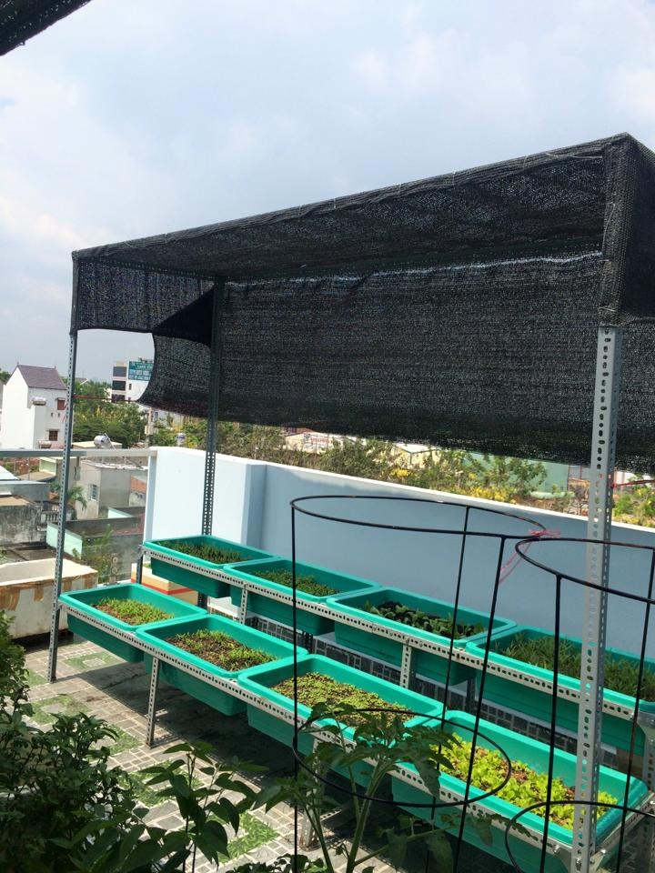 ba me me tre sai thanh phu xanh san thuong bang 100 chau rau xanh
