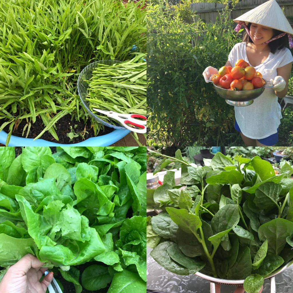 Mẹ Việt ở trời Tây 'Làm vườn để vơi bớt nỗi nhớ nhà' me viet o troi tay lam vuon de voi bot noi nho nha