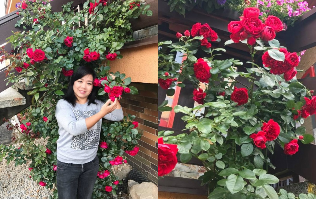 Mẹ Việt ở trời Tây 'Làm vườn để vơi bớt nỗi nhớ nhà' me viet o troi tay lam vuon de voi bot noi nho nha