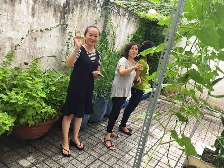 nguong mo khu vuon day ap rau sach sum sue cay trai cua ba me 2 con o soc trang