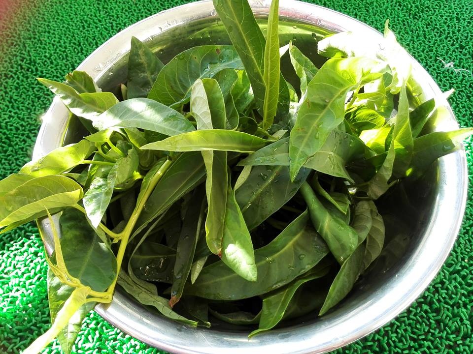 bat ngo voi ban cong 3m2 phu xanh rau qua sach quanh nam cua me viet o nhat