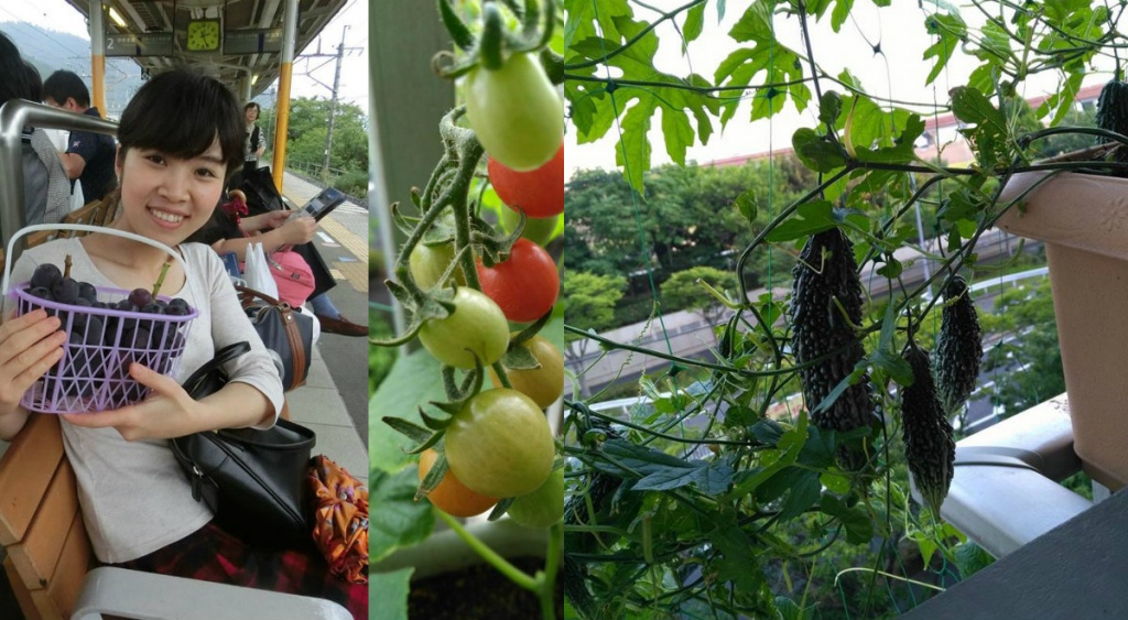 bat ngo voi ban cong 3m2 phu xanh rau qua sach quanh nam cua me viet o nhat