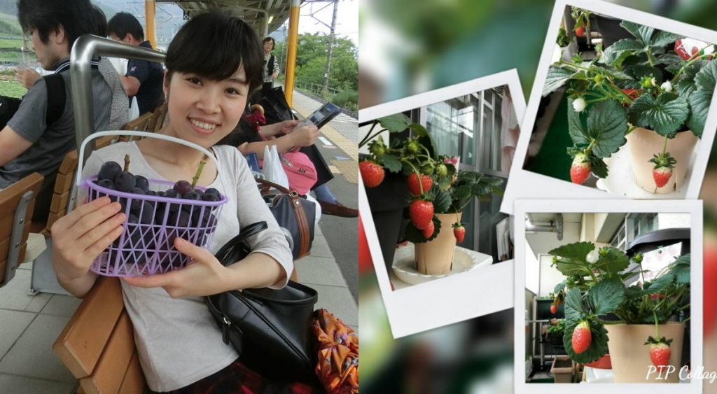 bat ngo voi ban cong 3m2 phu xanh rau qua sach quanh nam cua me viet o nhat
