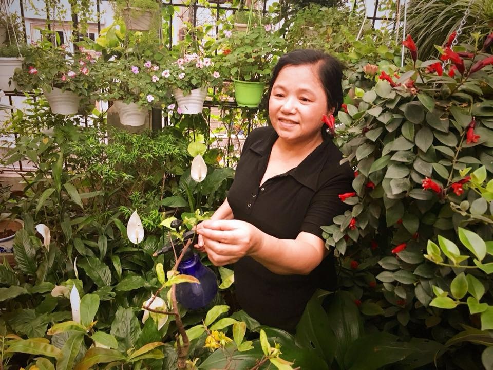 nguong mo vuon treo du loai rau sach an khong xue cua co giao ve huu o ha noi