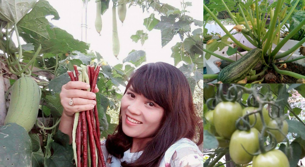 vuon rau nho xinh xan xanh muot tren san thuong cua ba me tre dam dang o thanh hoa