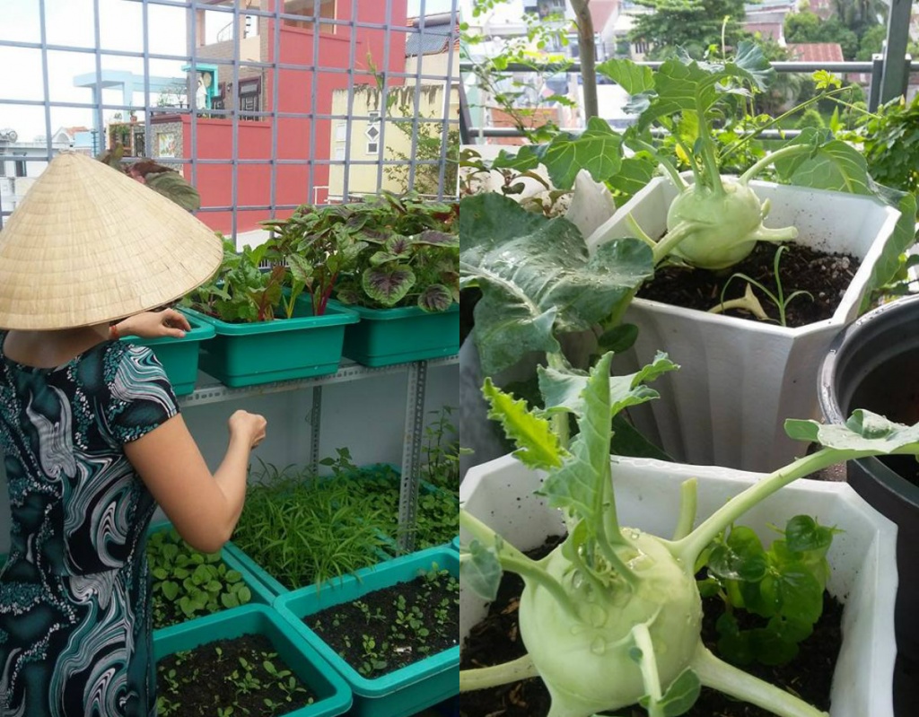 me dam o sai thanh bien san thuong 15m2 thanh khu vuon xanh mat