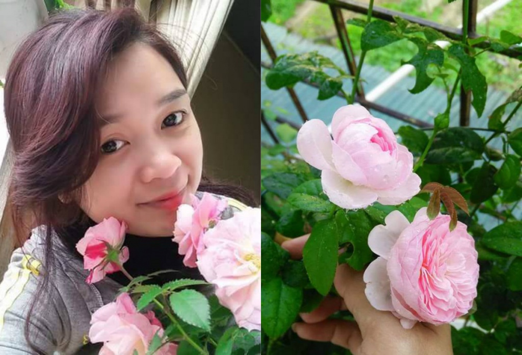 Ngỡ ngàng ban công rực rỡ hoa hồng của bà mẹ trẻ Quảng Ninh từng 'trồng cây gì chết cây đó' ngo ngang ban cong ruc ro hoa hong cua ba me tre quang ninh tung trong cay gi chet cay do