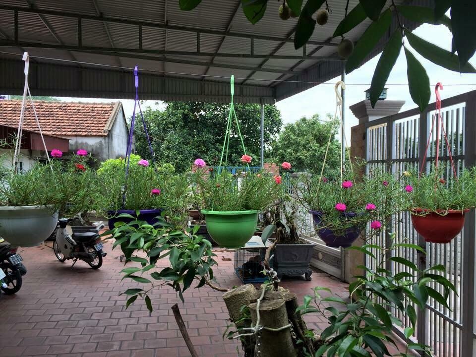 khu vuon nho xinh ngap tran hoa thom ai ai cung me cua ba me tre o hai duong