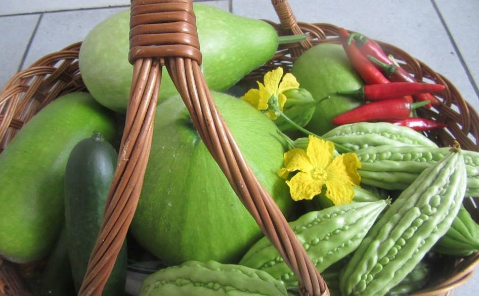 ghe tham khu vuon day du cac loai rau qua nuoi ga sach cua gia dinh nguoi viet o duc