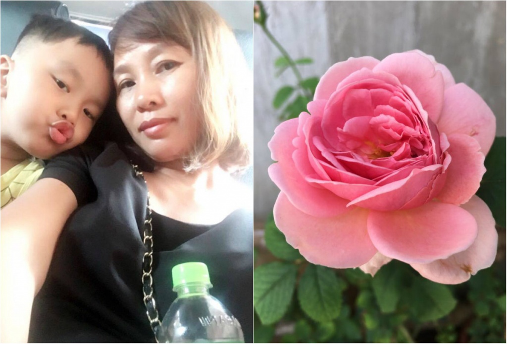mai me ngam vuon hoa hong dep me ly giua long ha noi cua ba me dam