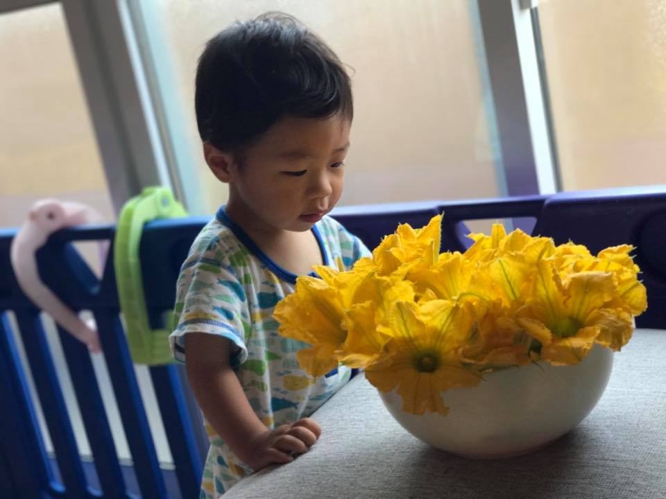 vuon rau sach nhin la me cua me viet o nhat