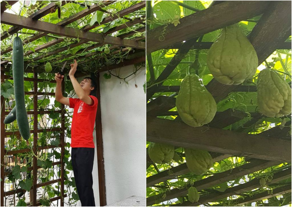 ngan ngo ngam gian bau bi su su triu trit qua cua gia dinh nguoi viet tai duc