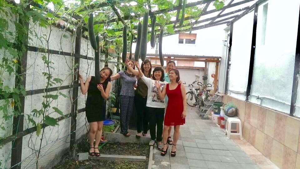 khu vuon nho goi nho que nha cua gia dinh viet o duc