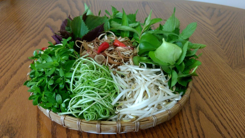 khu vuon xanh muot mat an mai chang het rau sach cua me viet 2 con o my