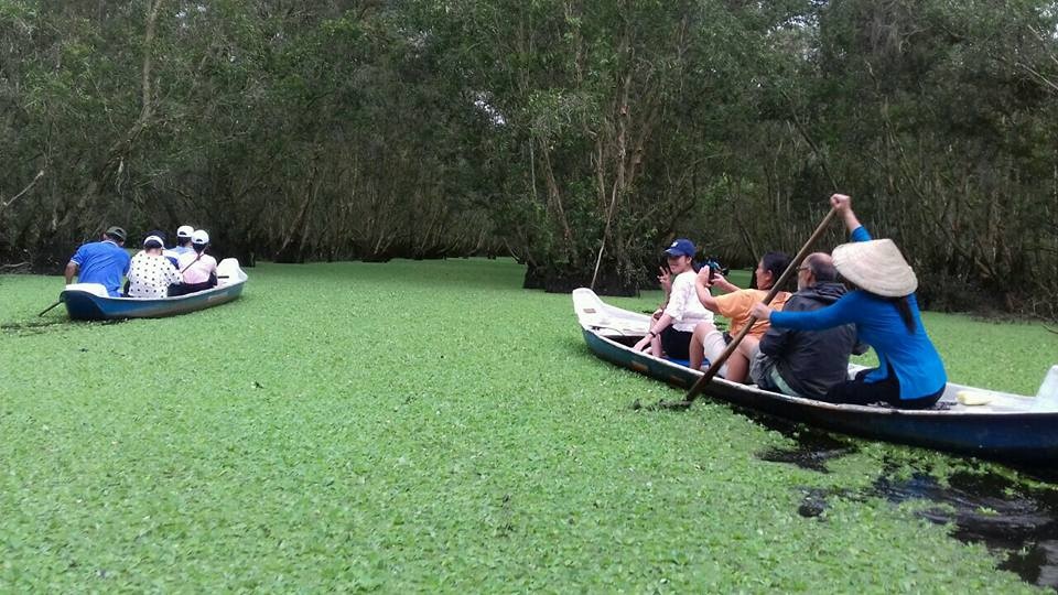 Mùa nước nổi đến rồi rủ nhau dạo chơi rừng tràm Trà Sư xanh mướt mua nuoc noi den roi ru nhau dao choi rung tram tra su xanh muot