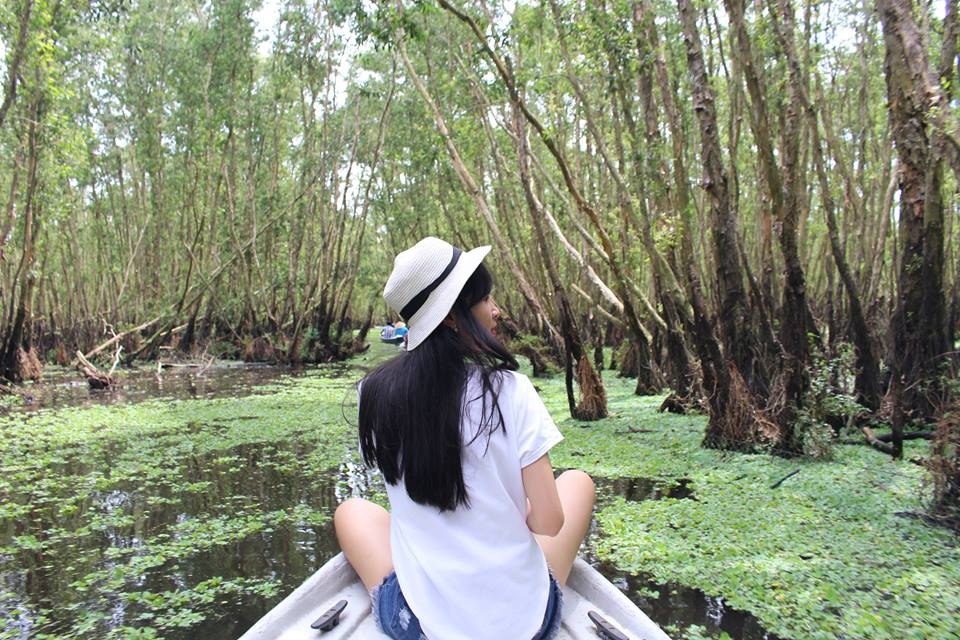 Mùa nước nổi đến rồi rủ nhau dạo chơi rừng tràm Trà Sư xanh mướt mua nuoc noi den roi ru nhau dao choi rung tram tra su xanh muot