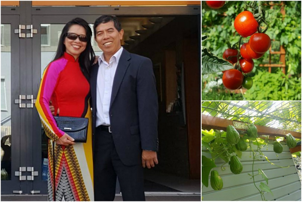 ong bo viet o duc bien khu vuon bo hoang ngap tran rau xanh triu qua