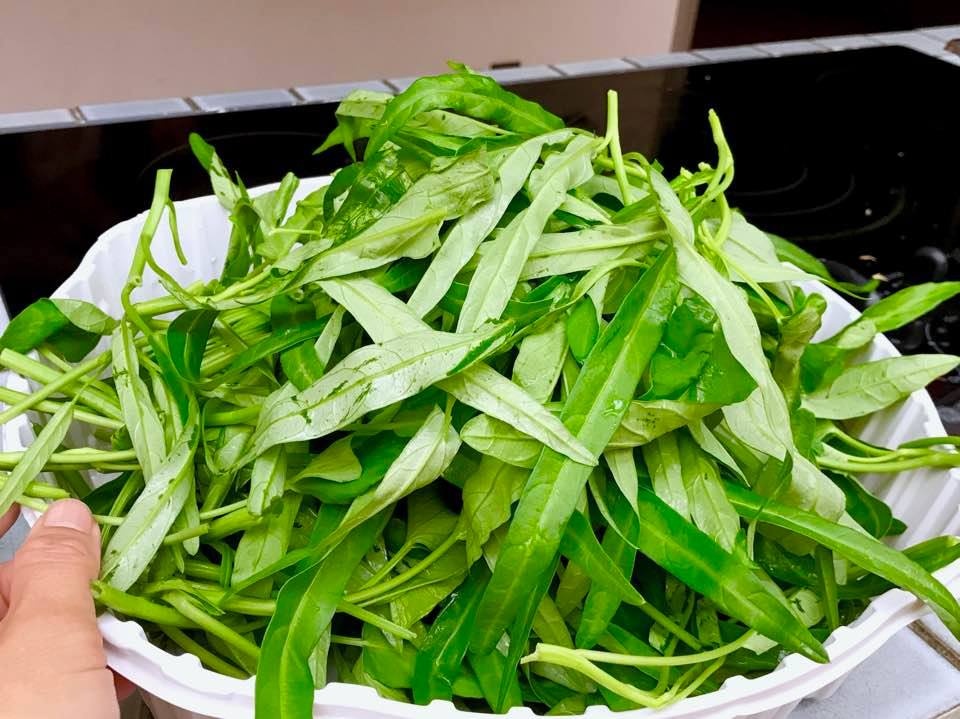 nga mu than phuc me viet o canada bien 40000m2 thanh khu vuon xanh muot hoa la rau qua