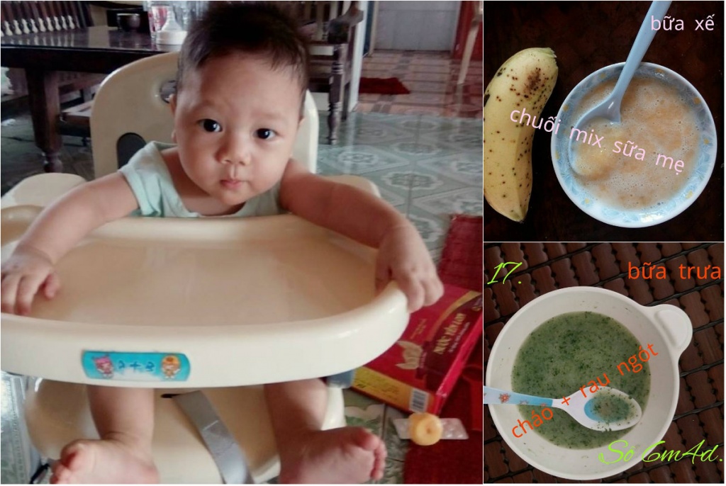 Thực đơn ăn dặm kiểu Nhật kết hợp truyền thống ngon bổ, dễ nấu của mẹ 9X ở Thái Bình thuc don an dam kieu nhat ket hop truyen thong ngon bo de nau cua me 9x o thai binh