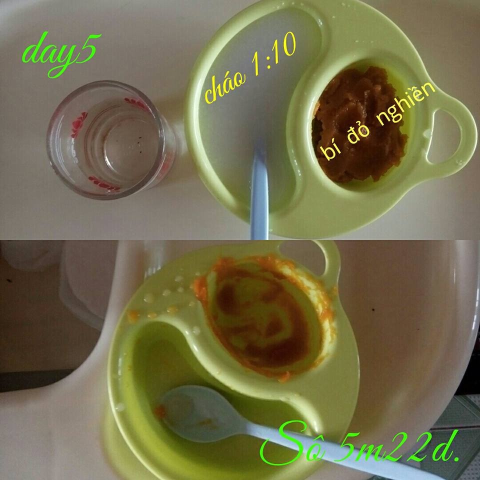 Thực đơn ăn dặm kiểu Nhật kết hợp truyền thống ngon bổ, dễ nấu của mẹ 9X ở Thái Bình thuc don an dam kieu nhat ket hop truyen thong ngon bo de nau cua me 9x o thai binh