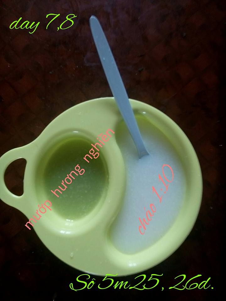 Thực đơn ăn dặm kiểu Nhật kết hợp truyền thống ngon bổ, dễ nấu của mẹ 9X ở Thái Bình thuc don an dam kieu nhat ket hop truyen thong ngon bo de nau cua me 9x o thai binh