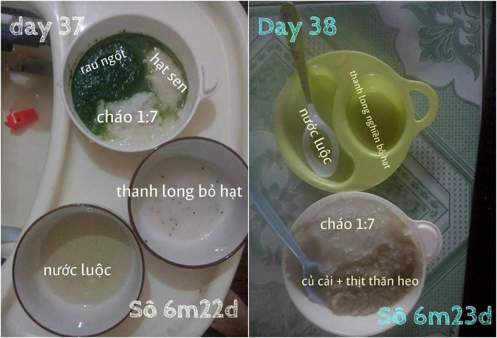 Thực đơn ăn dặm kiểu Nhật kết hợp truyền thống ngon bổ, dễ nấu của mẹ 9X ở Thái Bình thuc don an dam kieu nhat ket hop truyen thong ngon bo de nau cua me 9x o thai binh