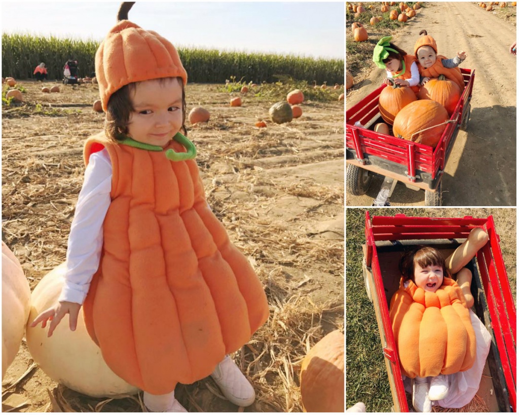 Phát cuồng trước bộ sưu tập 'khủng' mẹ Việt ở Mỹ khéo tay thiết kế cho con đón Halloween phat cuong truoc bo suu tap khung me viet o my kheo tay thiet ke cho con don halloween