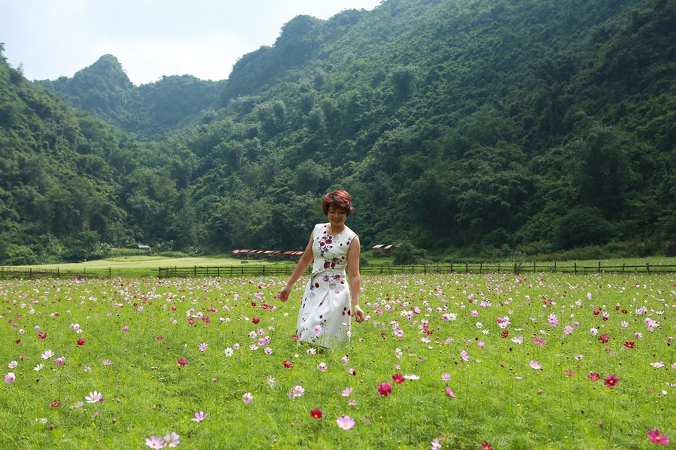 lac buoc quen loi ve giua thung lung hoa bac son dep me dam o xu lang