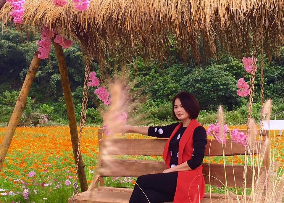 lac buoc quen loi ve giua thung lung hoa bac son dep me dam o xu lang