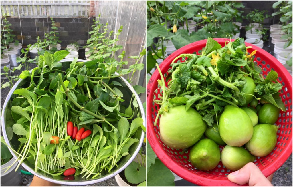 san thuong 80m2 phu kin rau qua khien bao nguoi mo uoc