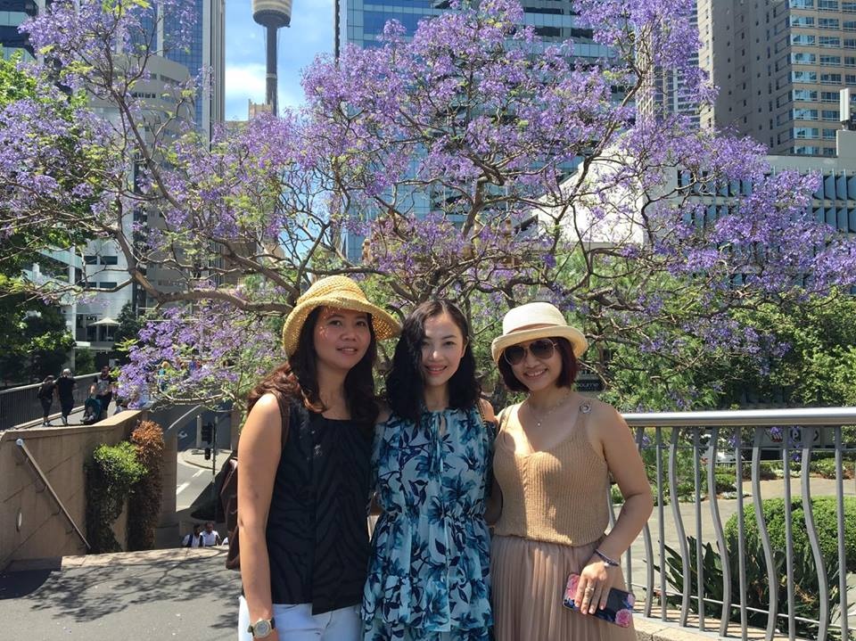 mua phuong tim me hoac long nguoi o xu so chuot tui