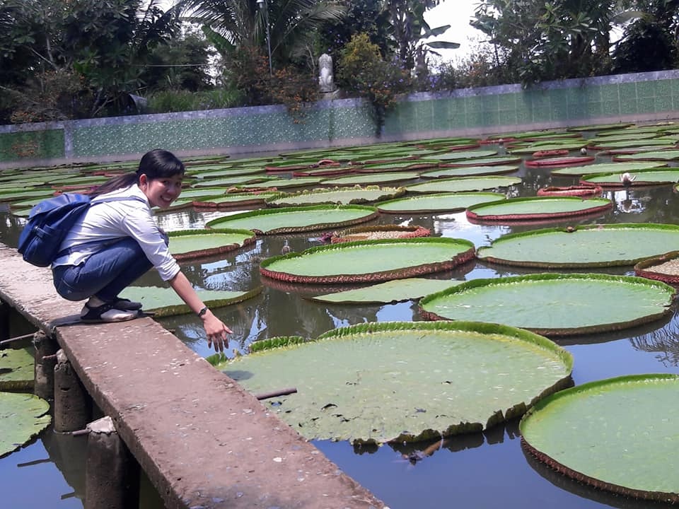 ve dong thap ghe tham ngoi chua la sen doc dao