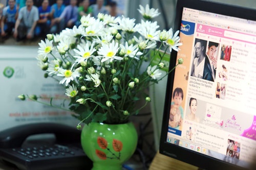 mua cuc hoa mi den roi mach ban nhung cach trang tri cho ngoi nha them dep