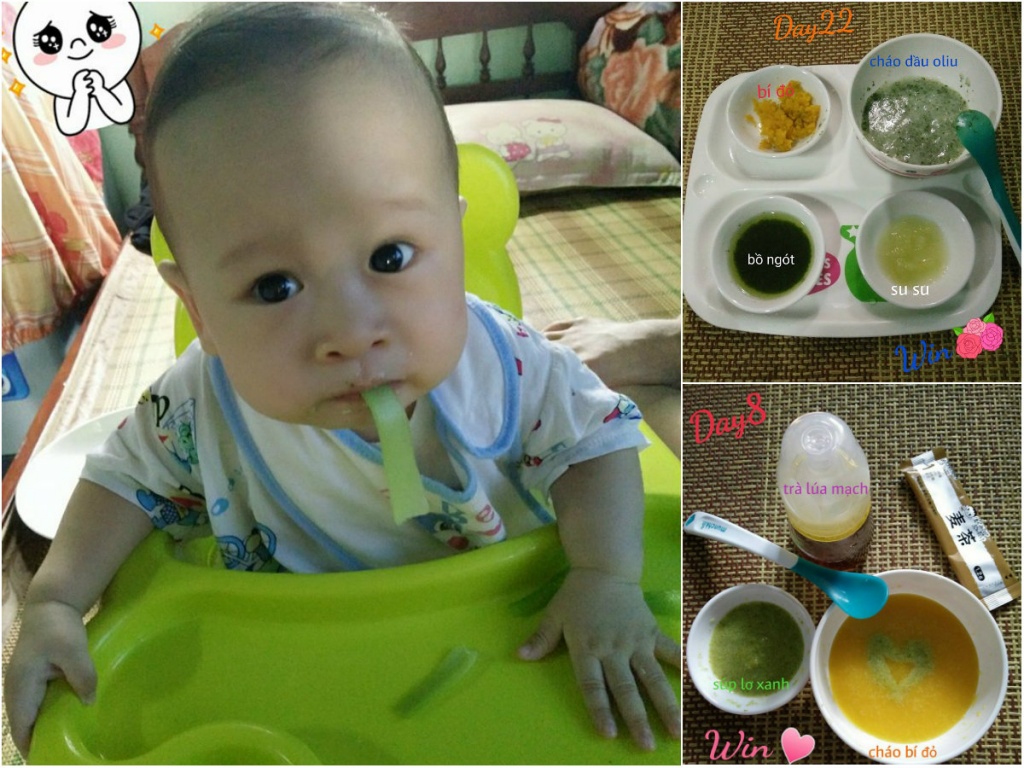 Kinh nghiệm cho con ăn dặm kiểu Nhật của mẹ 8x ở Quảng Ngãi kinh nghiem cho con an dam kieu nhat cua me 8x o quang ngai