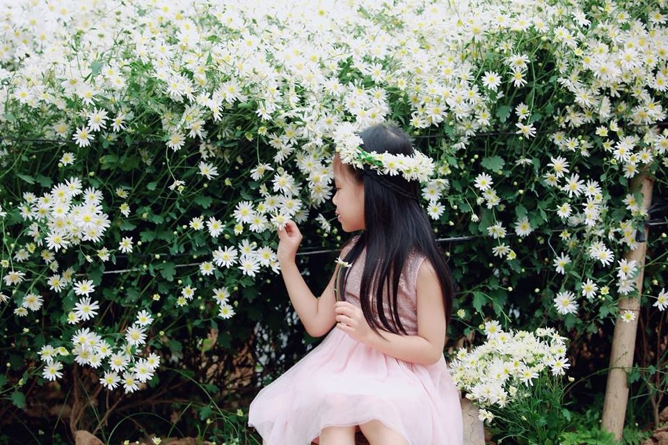 tan chay voi bo anh ngot ngao ve tinh chi em ben nhung doa hoa mi