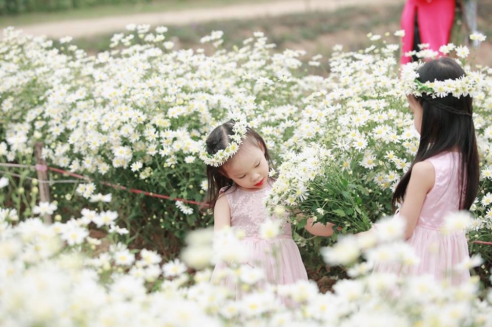 tan chay voi bo anh ngot ngao ve tinh chi em ben nhung doa hoa mi