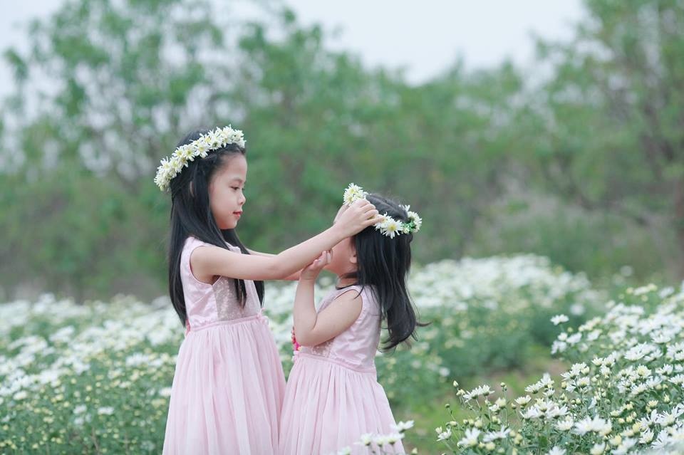 tan chay voi bo anh ngot ngao ve tinh chi em ben nhung doa hoa mi