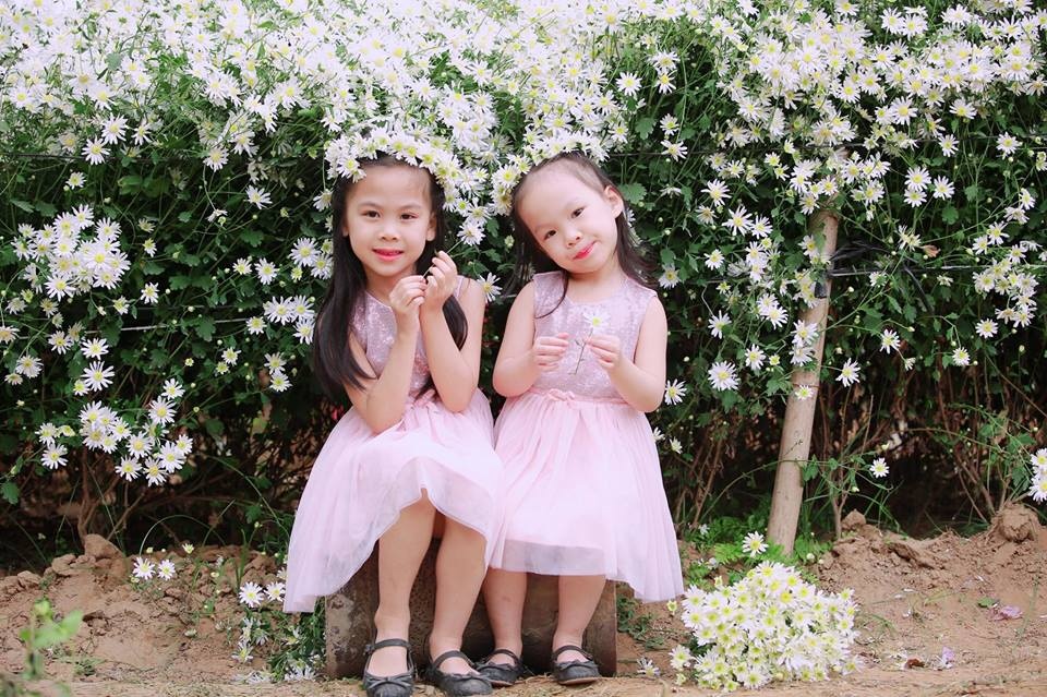 tan chay voi bo anh ngot ngao ve tinh chi em ben nhung doa hoa mi