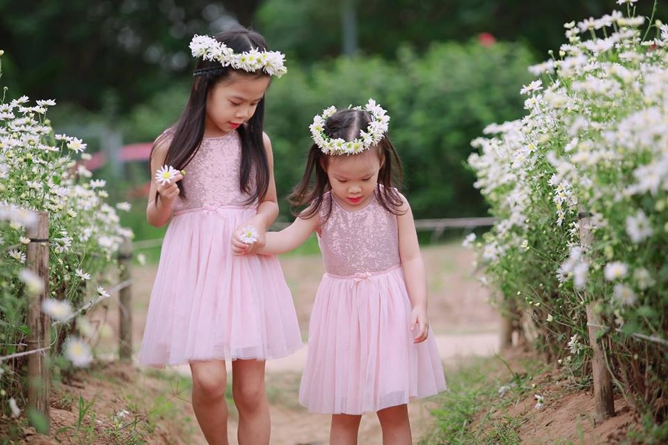 tan chay voi bo anh ngot ngao ve tinh chi em ben nhung doa hoa mi