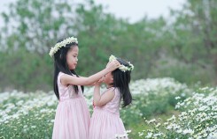 'Tan chảy' trước bộ ảnh ngọt ngào về tình chị em bên những đóa họa mi