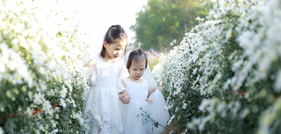 tan chay voi bo anh ngot ngao ve tinh chi em ben nhung doa hoa mi