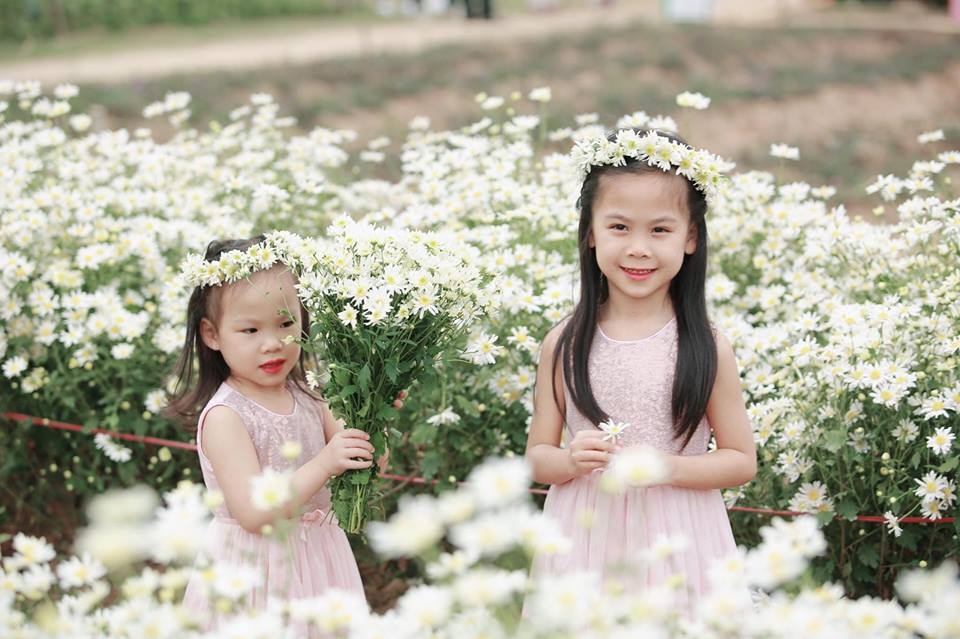 gioi tre ha thanh ron rang check in vuon cuc hoa mi tuyet dep