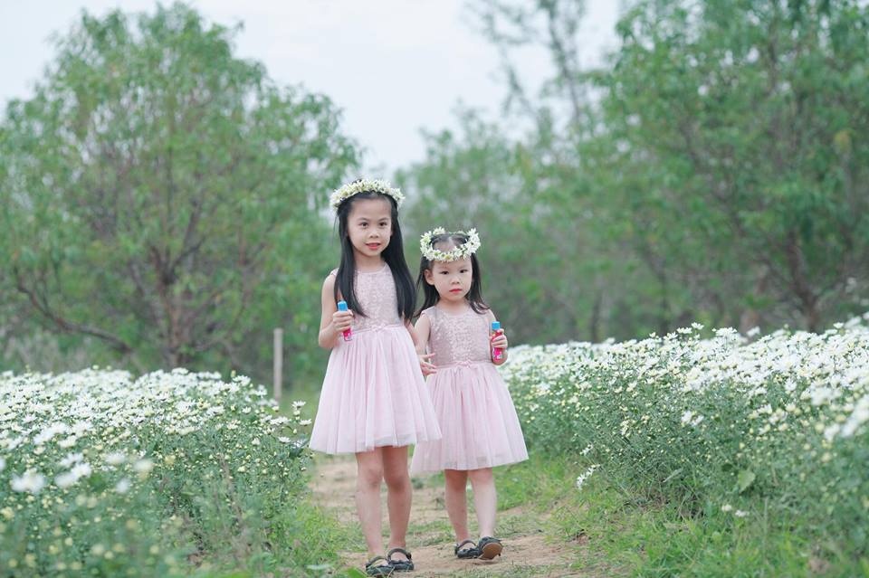 tan chay voi bo anh ngot ngao ve tinh chi em ben nhung doa hoa mi