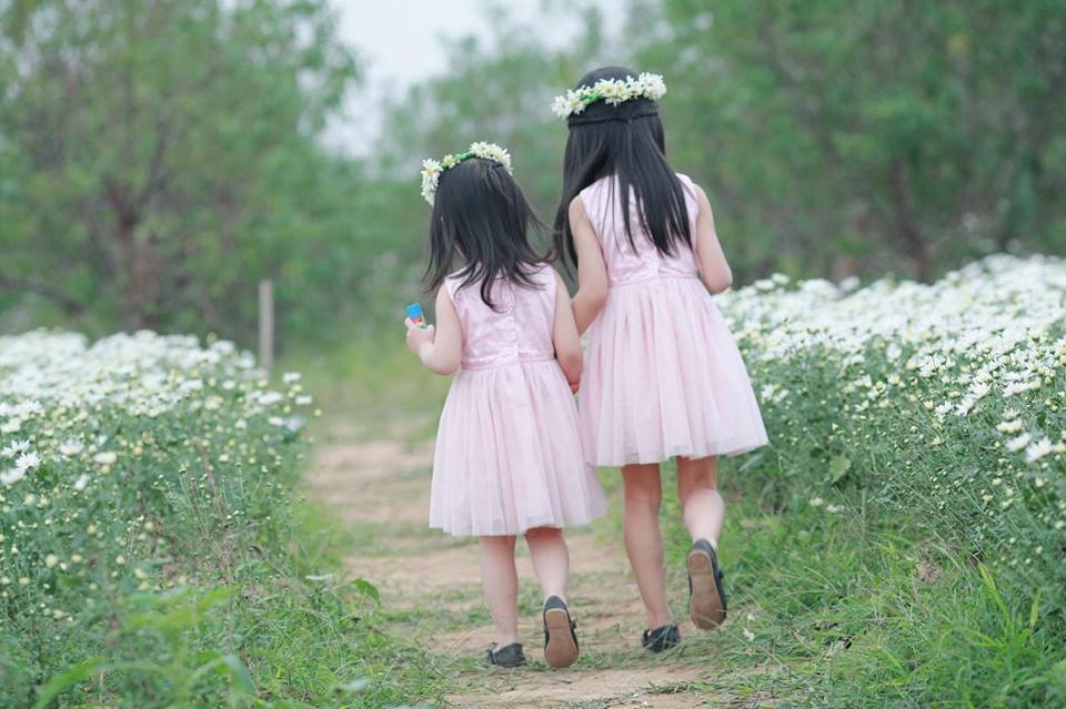 tan chay voi bo anh ngot ngao ve tinh chi em ben nhung doa hoa mi