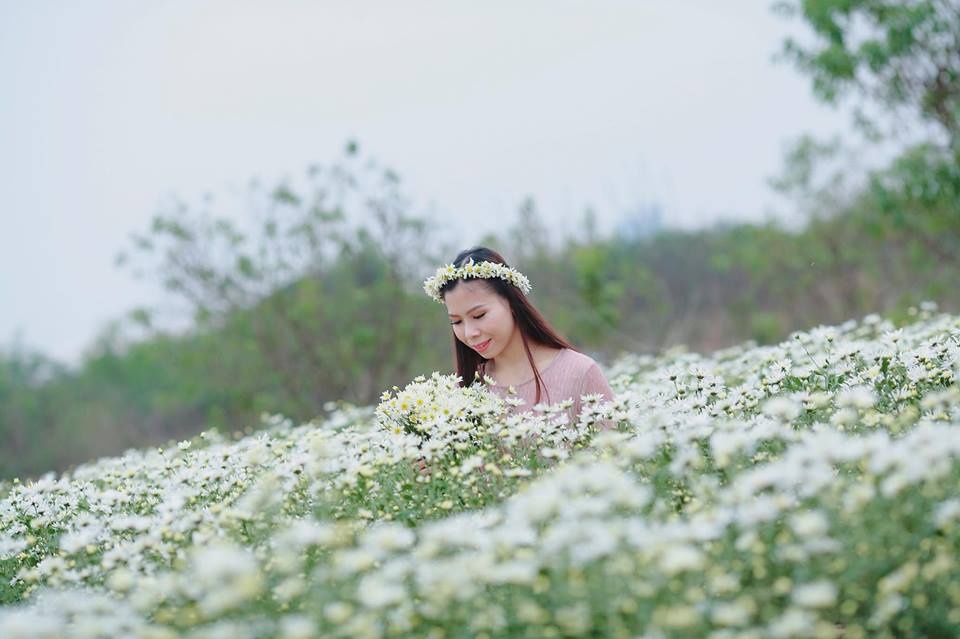 gioi tre ha thanh ron rang check in vuon cuc hoa mi tuyet dep