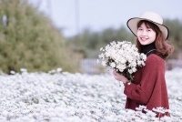 thon thuc mua cuc hoa mi xuong pho goi gio dong ve