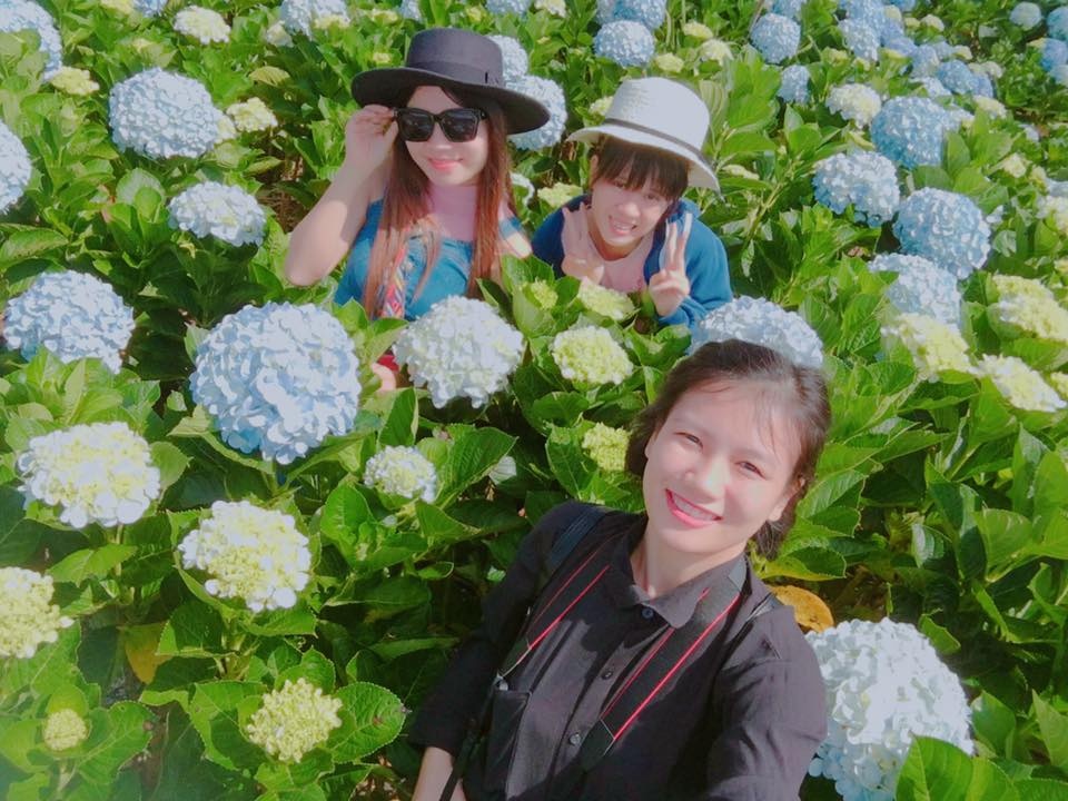 Nam thanh nữ tú rộn ràng check-in vườn hoa cẩm tú cầu ở Đà Lạt nam thanh nu tu ron rang check in vuon hoa cam tu cau o da lat
