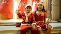 ngoi nha vuon trang tri dep lung linh don giang sinh cua nu bac si viet o my